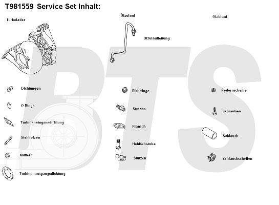 BTS TURBO Kompressor,ülelaadimine T981559